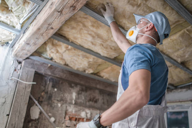 Best Insulation Removal  in Wesleyville, PA