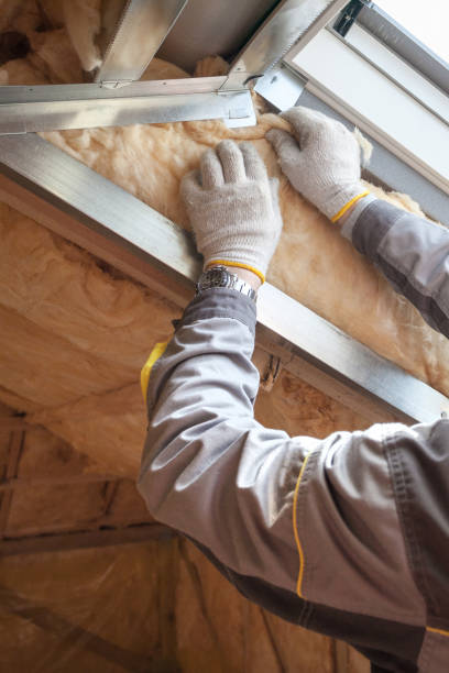 Best Insulation Inspection Services  in Wesleyville, PA