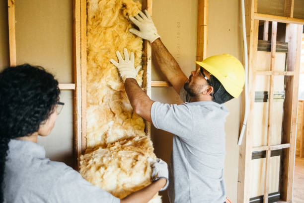 Best Professional Insulation Contractor  in Wesleyville, PA