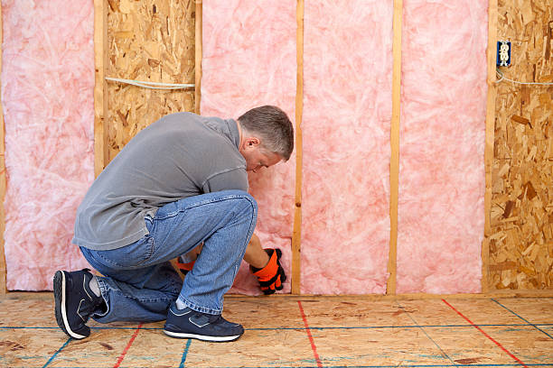 Best Attic Insulation Installation  in Wesleyville, PA